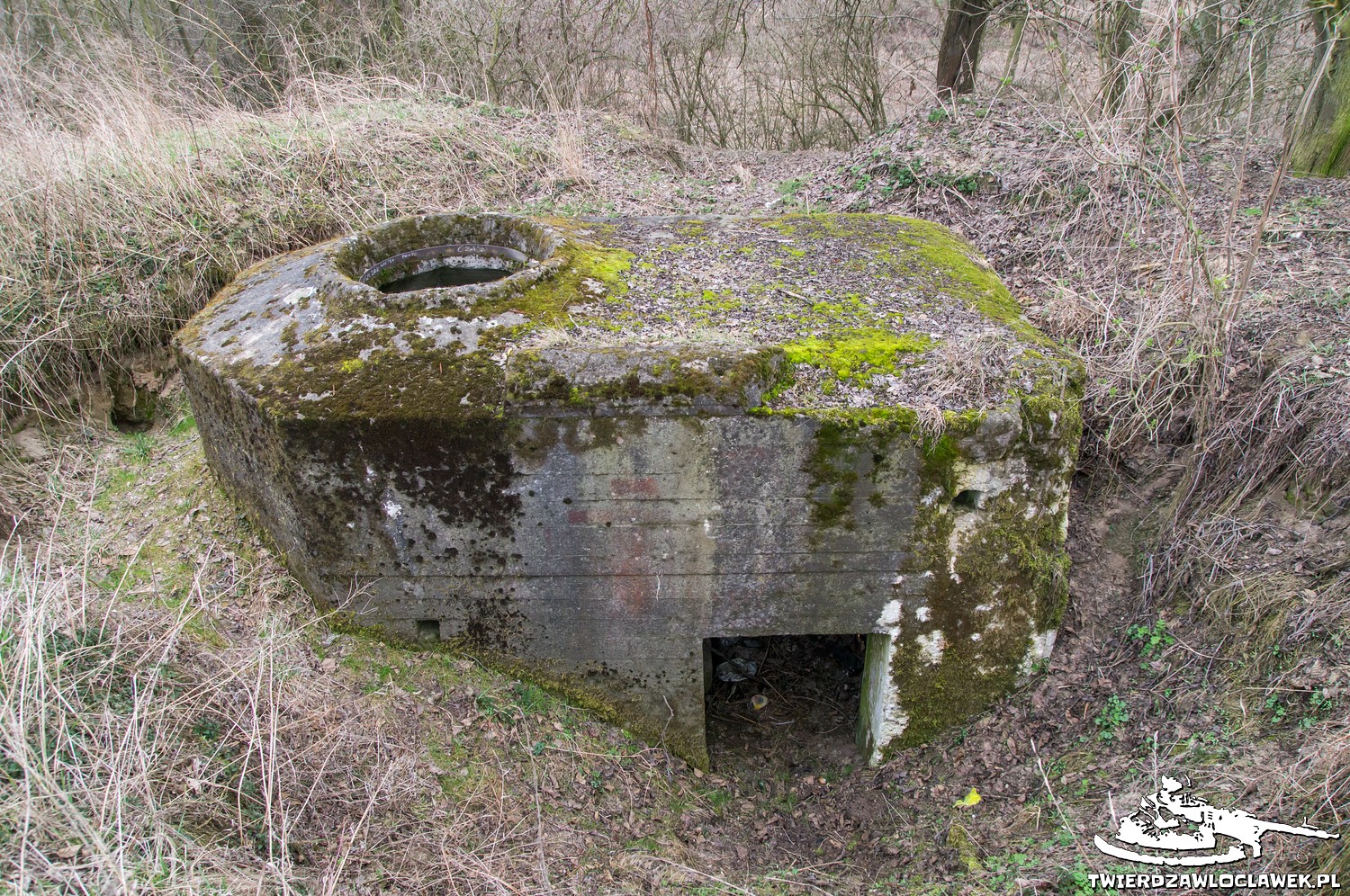 Read more about the article Schron Ringstand 58c – LB 03