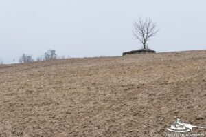 Read more about the article Schron Ringstand 58c – LB 05