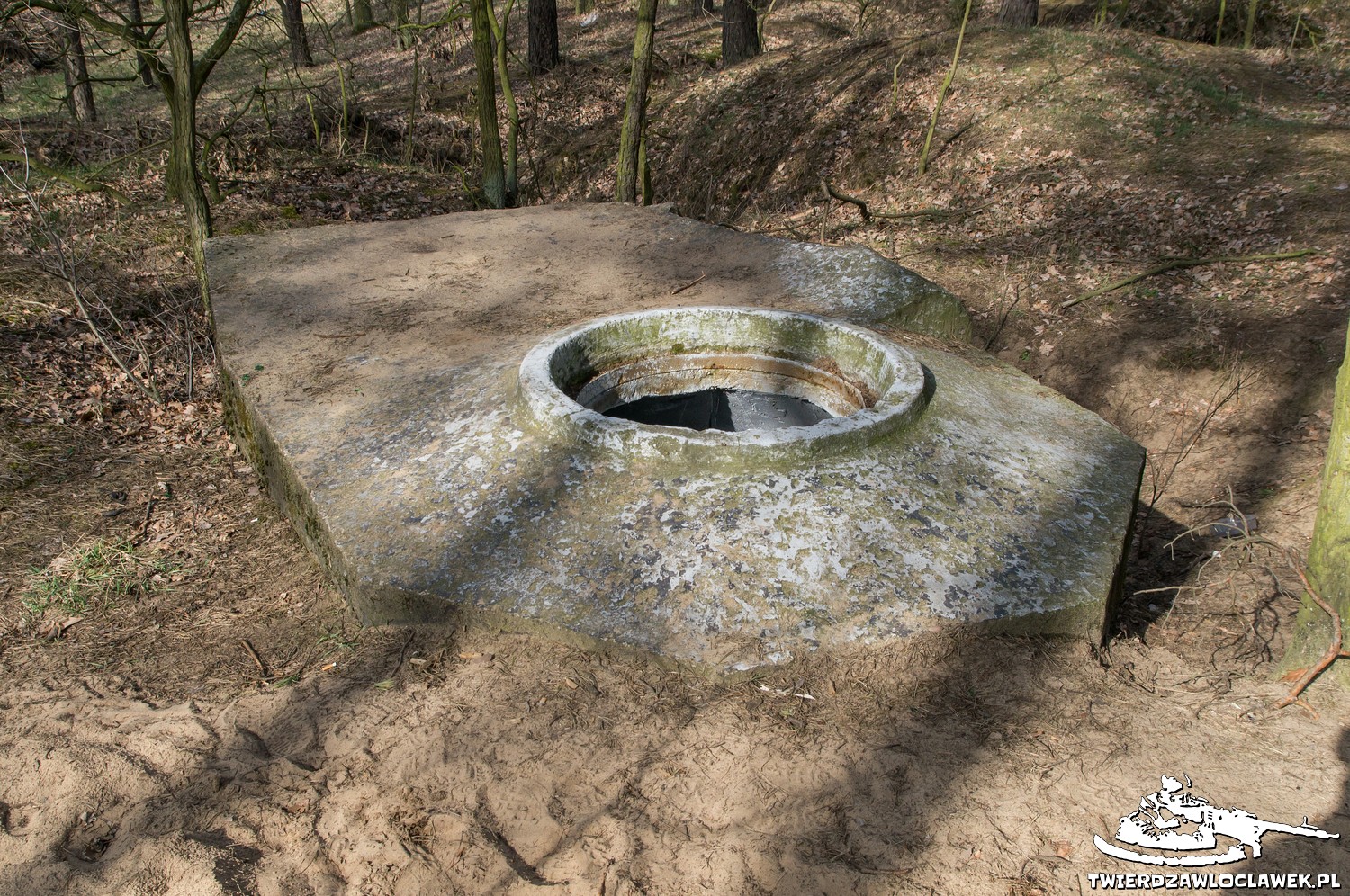 Read more about the article Schron Ringstand 58c – ZF 02