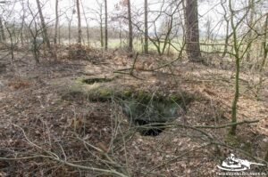 Read more about the article Schron Ringstand 58c – LU 03