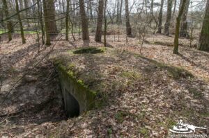 Read more about the article Schron Ringstand 58c – LU 07