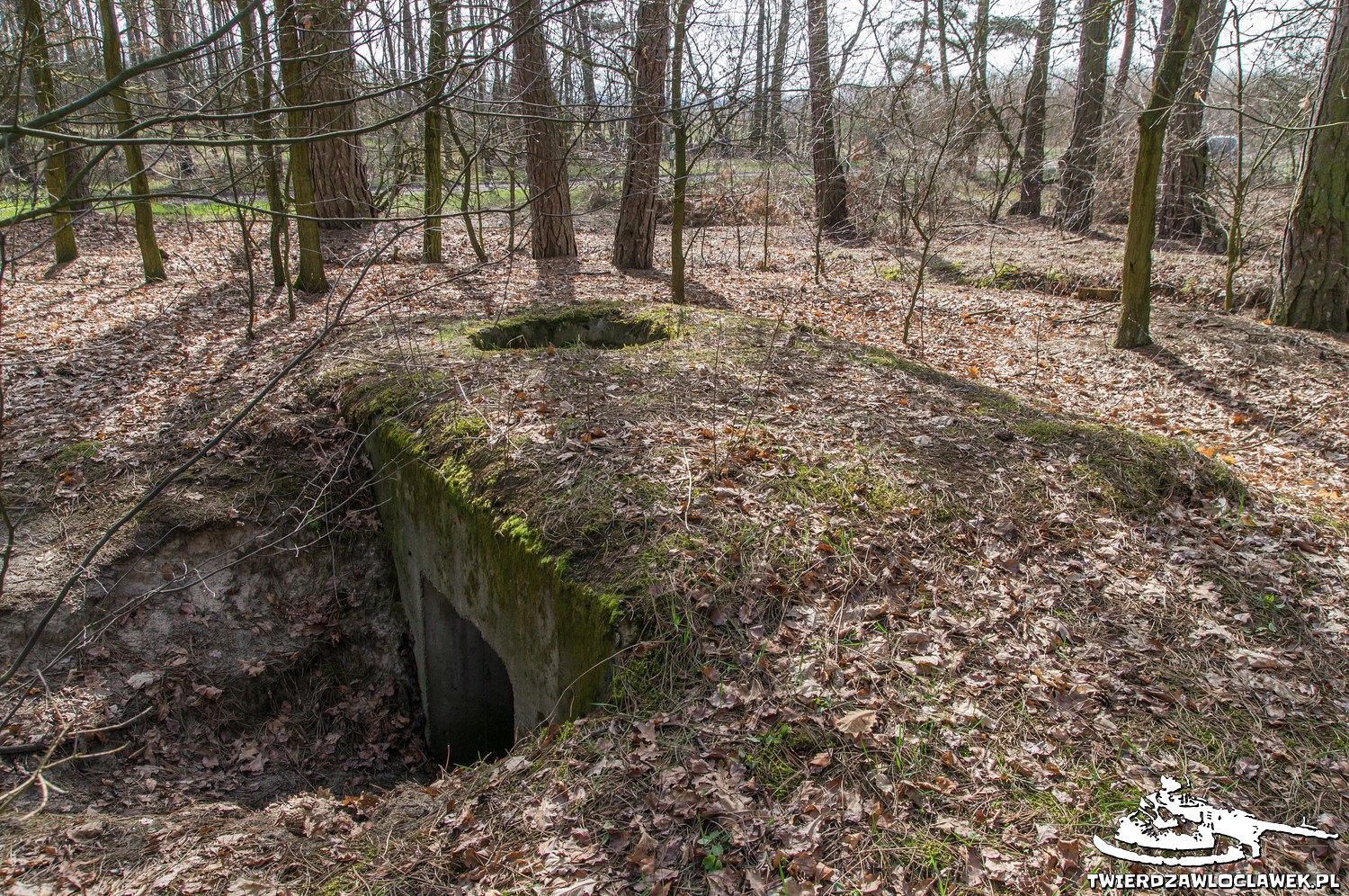 Read more about the article Schron Ringstand 58c – LU 07