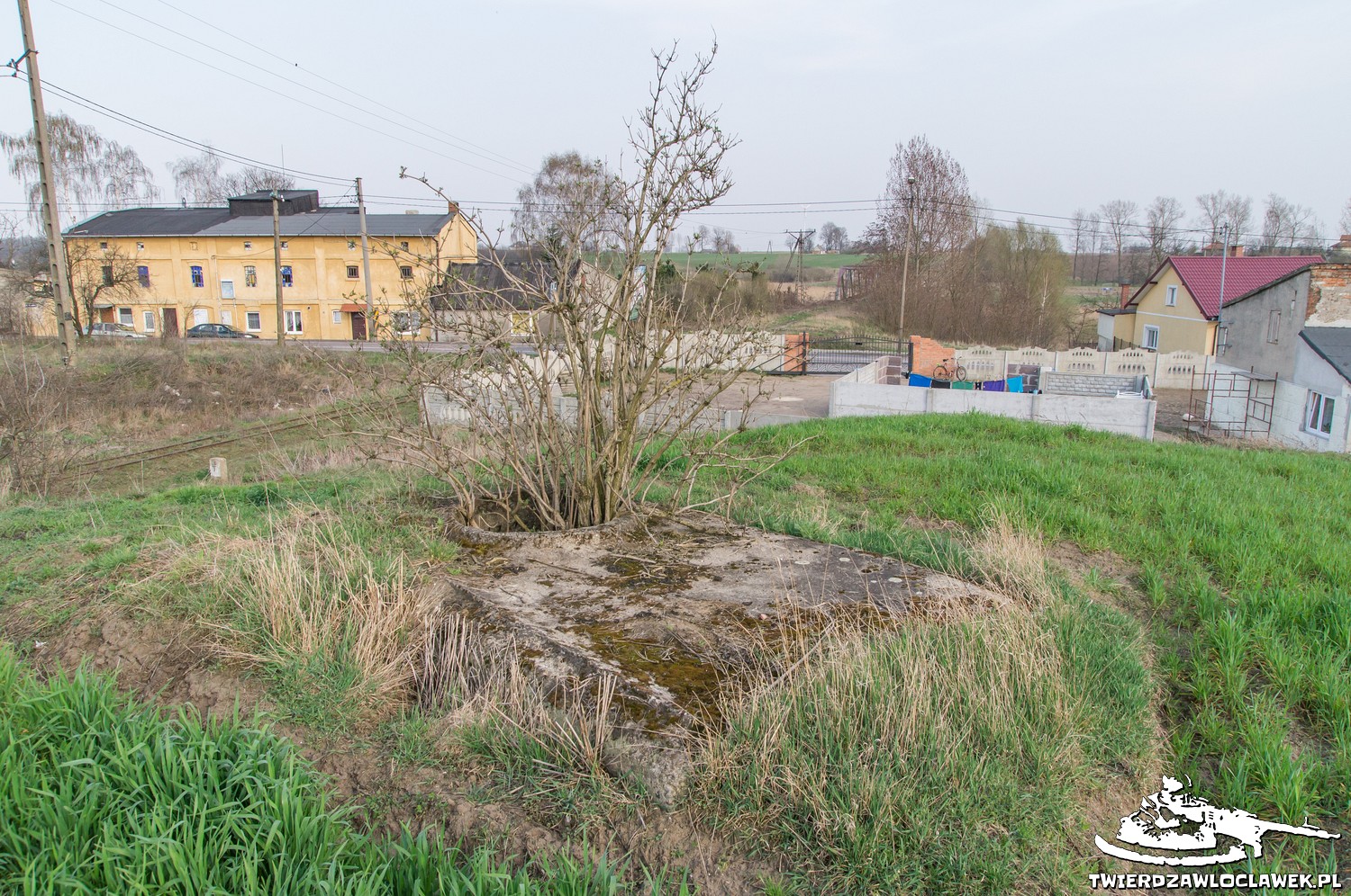 Read more about the article Schron Ringstand 58c – LB 08