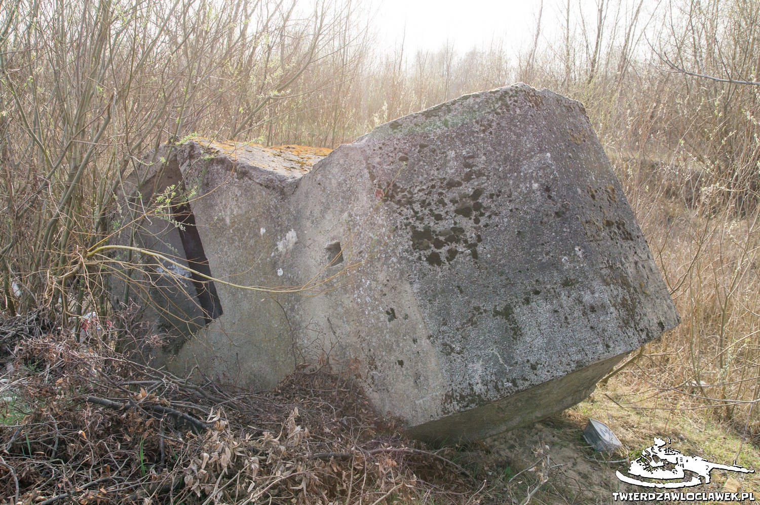 Read more about the article Schron Ringstand 58c – LB 12