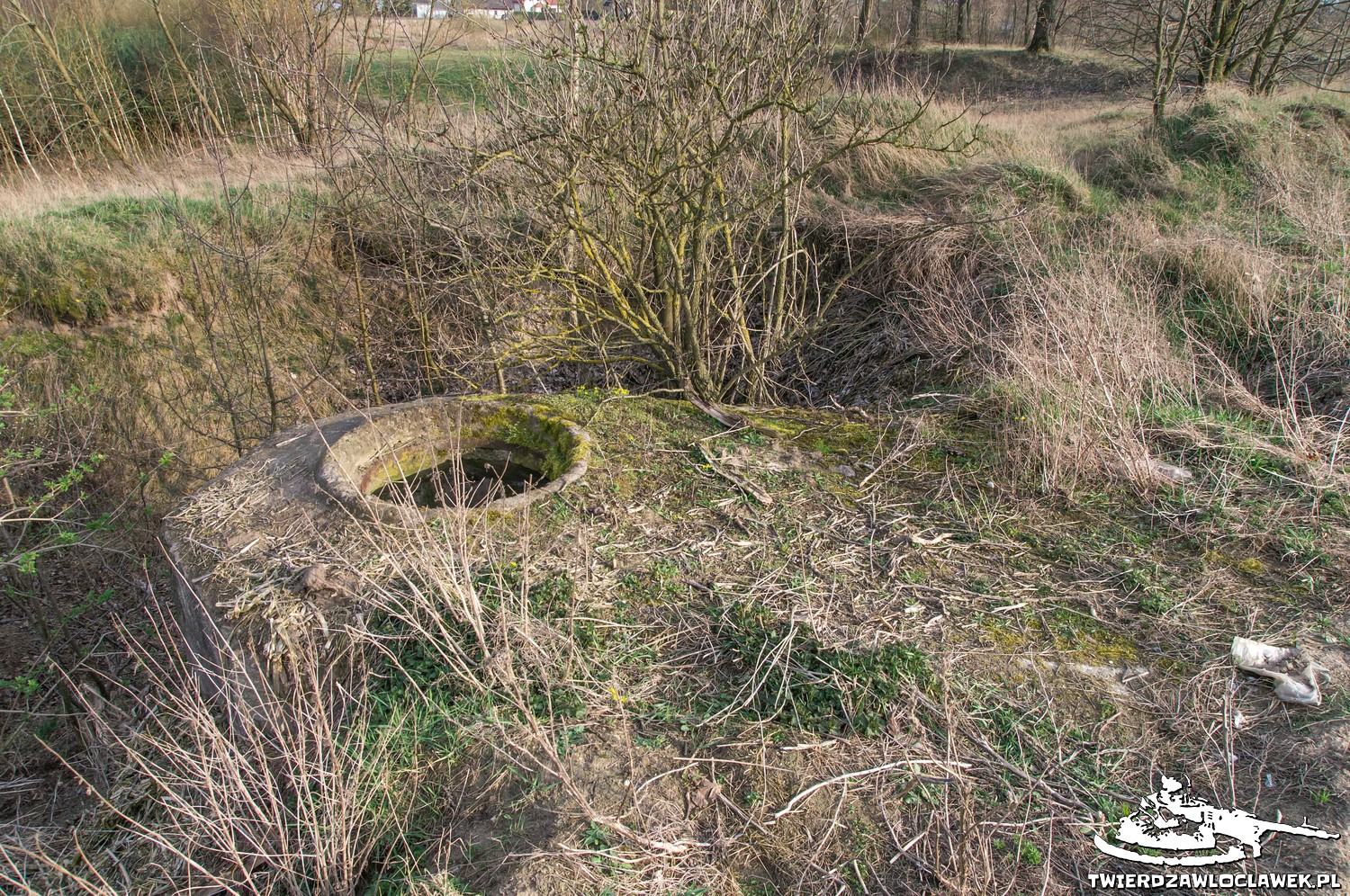 Read more about the article Schron Ringstand 58c – LB 11