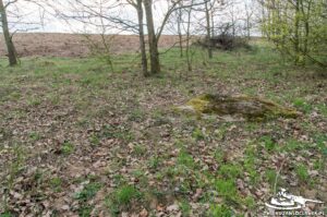 Read more about the article Schron Ringstand 58c – KZ 01