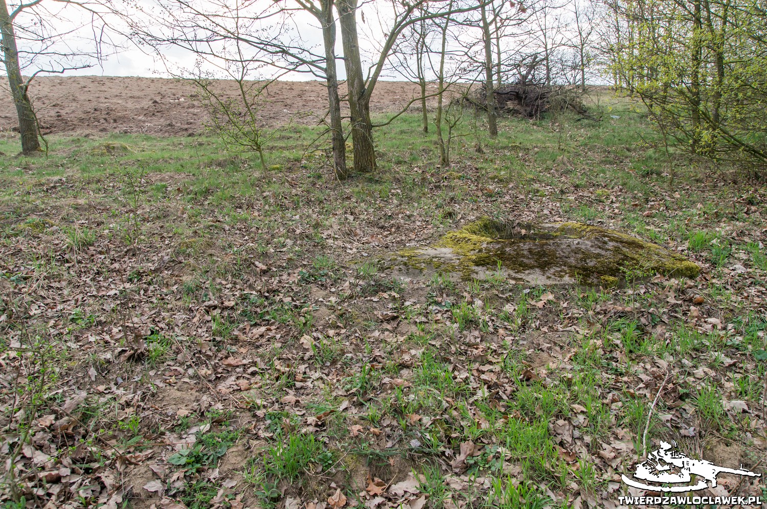 Read more about the article Schron Ringstand 58c – KZ 01