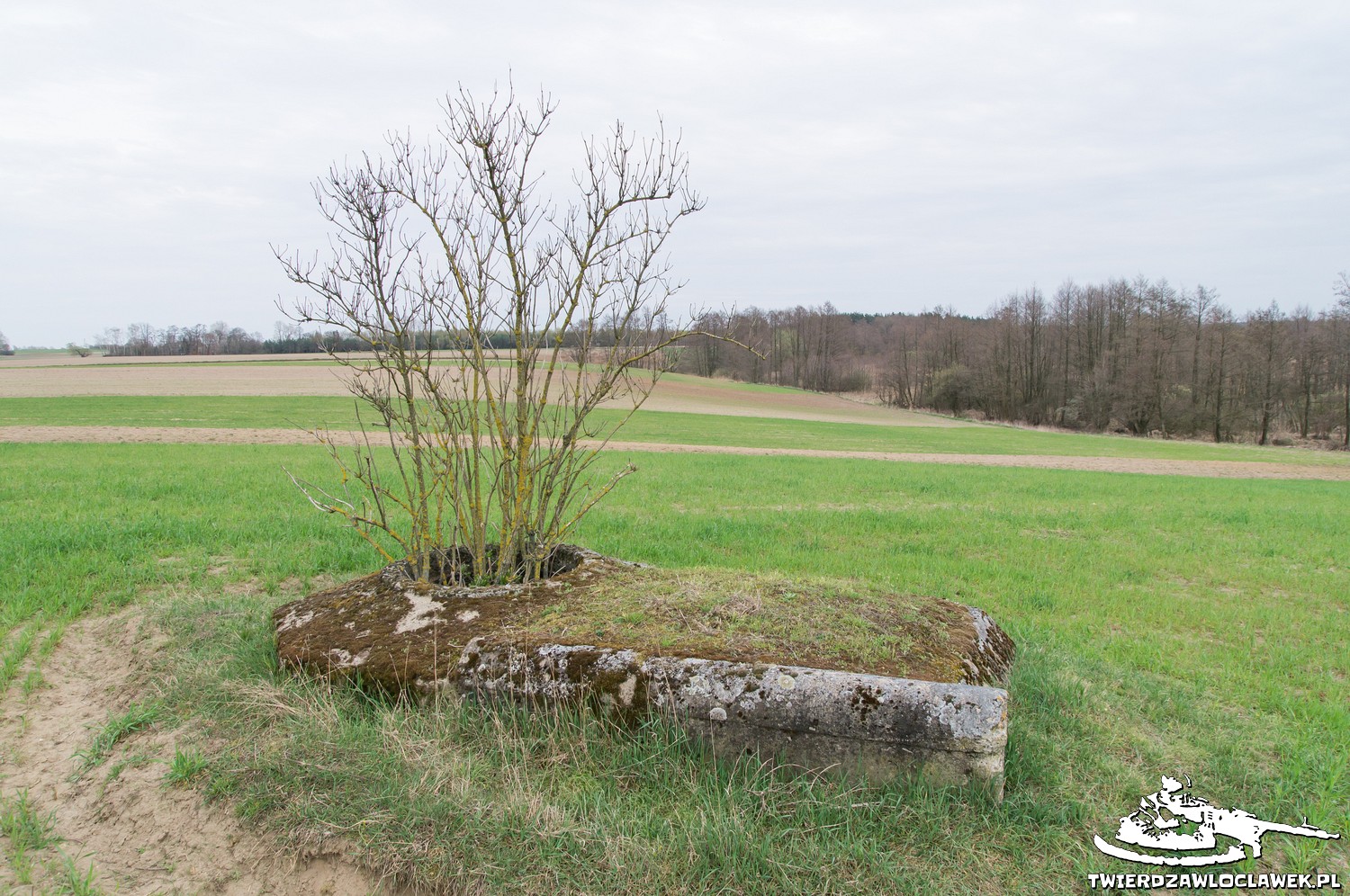 Read more about the article Schron Ringstand 58c – TO 03