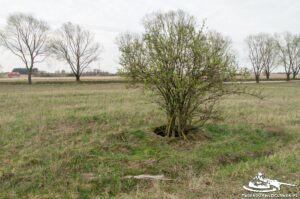 Read more about the article Schron Ringstand 58c – RY 04