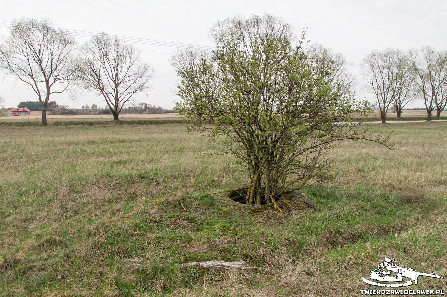 You are currently viewing Schron Ringstand 58c – RY 04