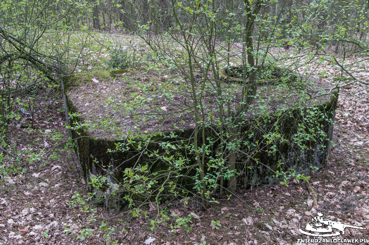 You are currently viewing Schron Ringstand 58c – NW 08