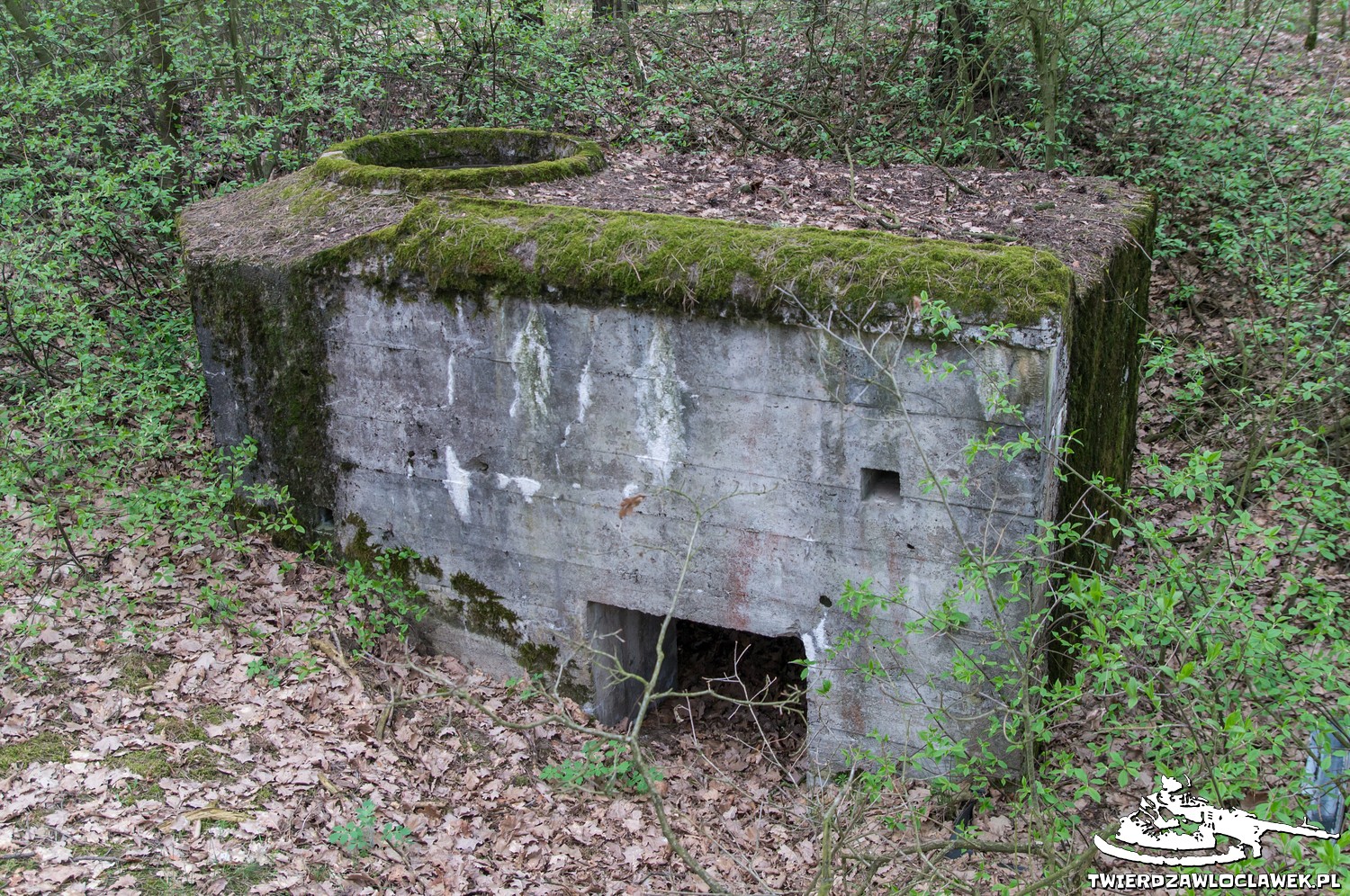 You are currently viewing Schron Ringstand 58c – NW 09