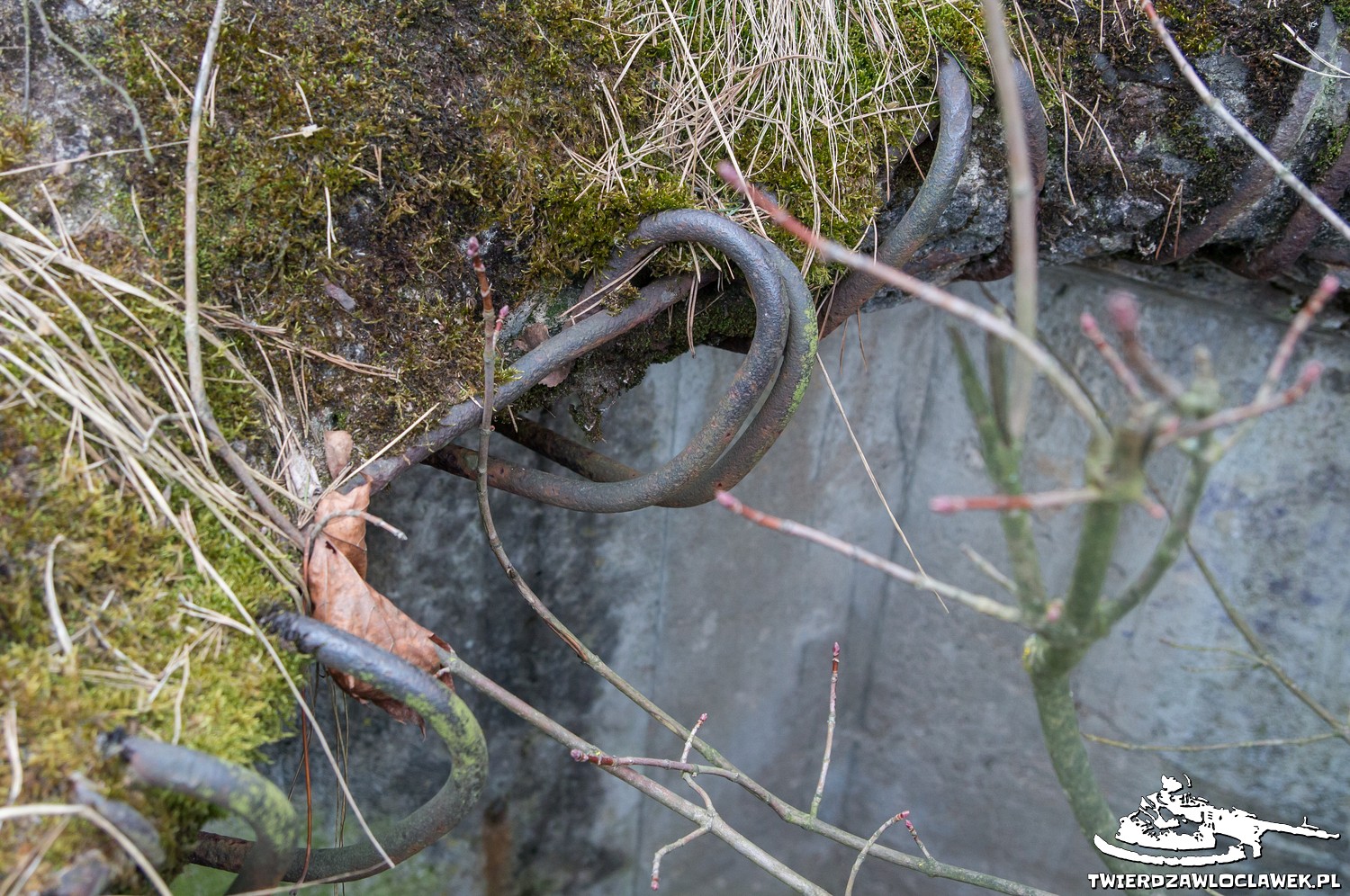 Schron Ringstand 58c – C 02