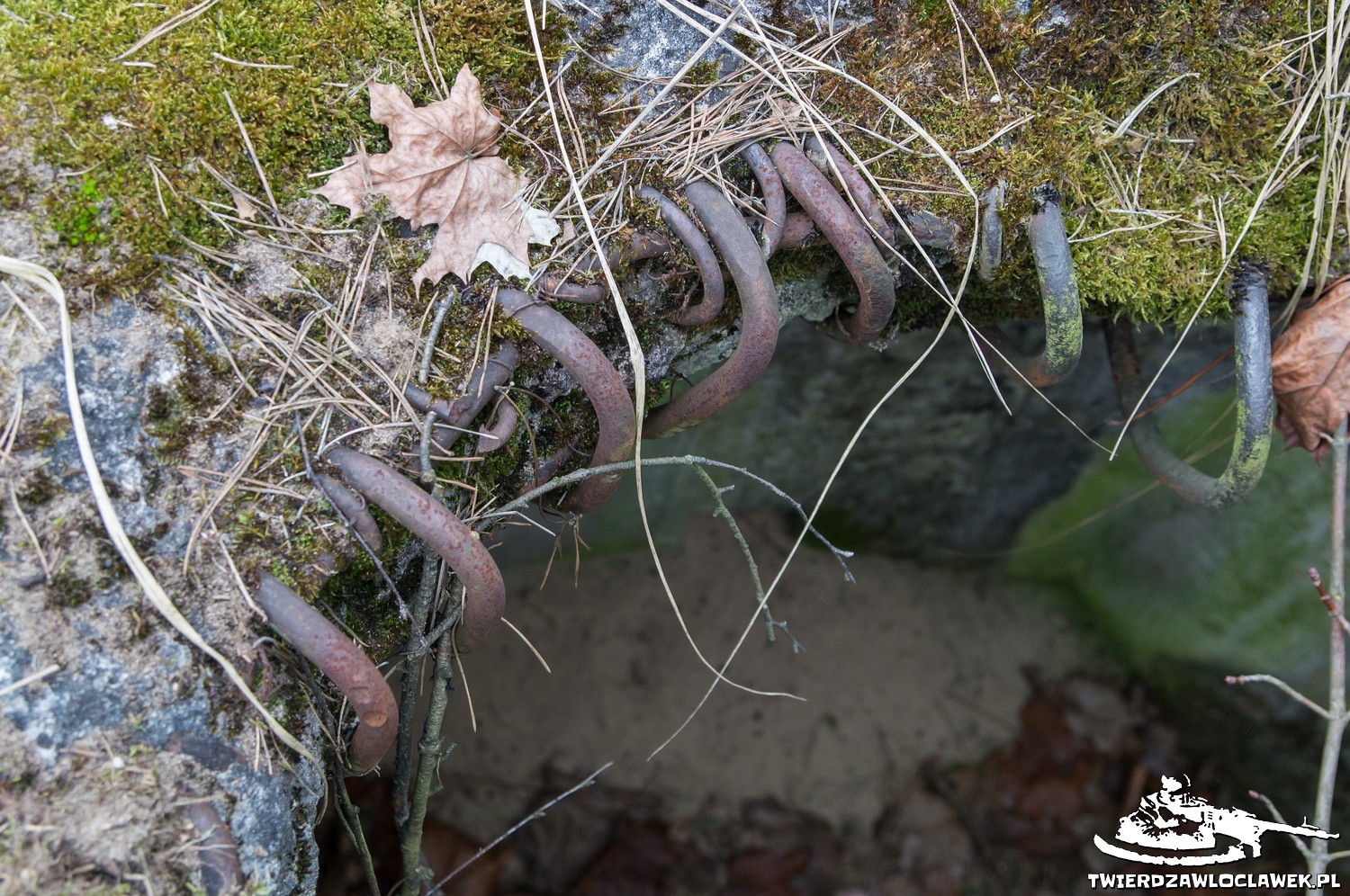 Schron Ringstand 58c – C 02