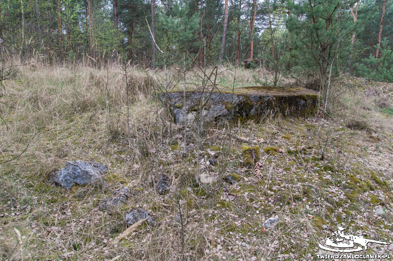 Schron Ringstand 58c – C 02