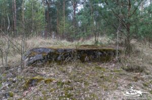 Read more about the article Schron Ringstand 58c – C 02