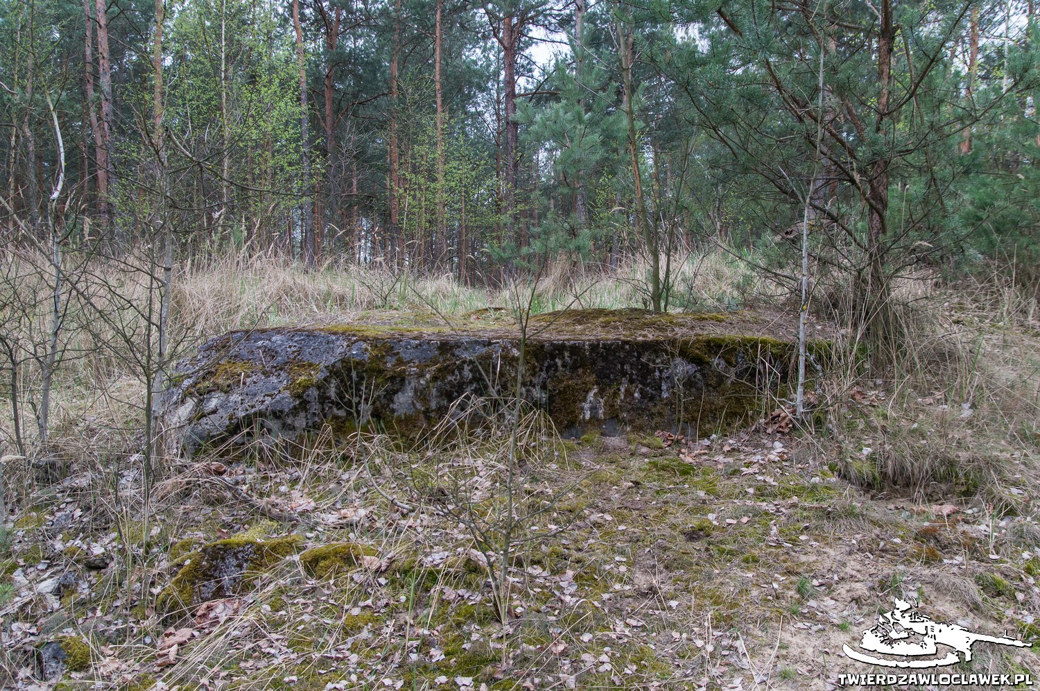 Read more about the article Schron Ringstand 58c – C 02