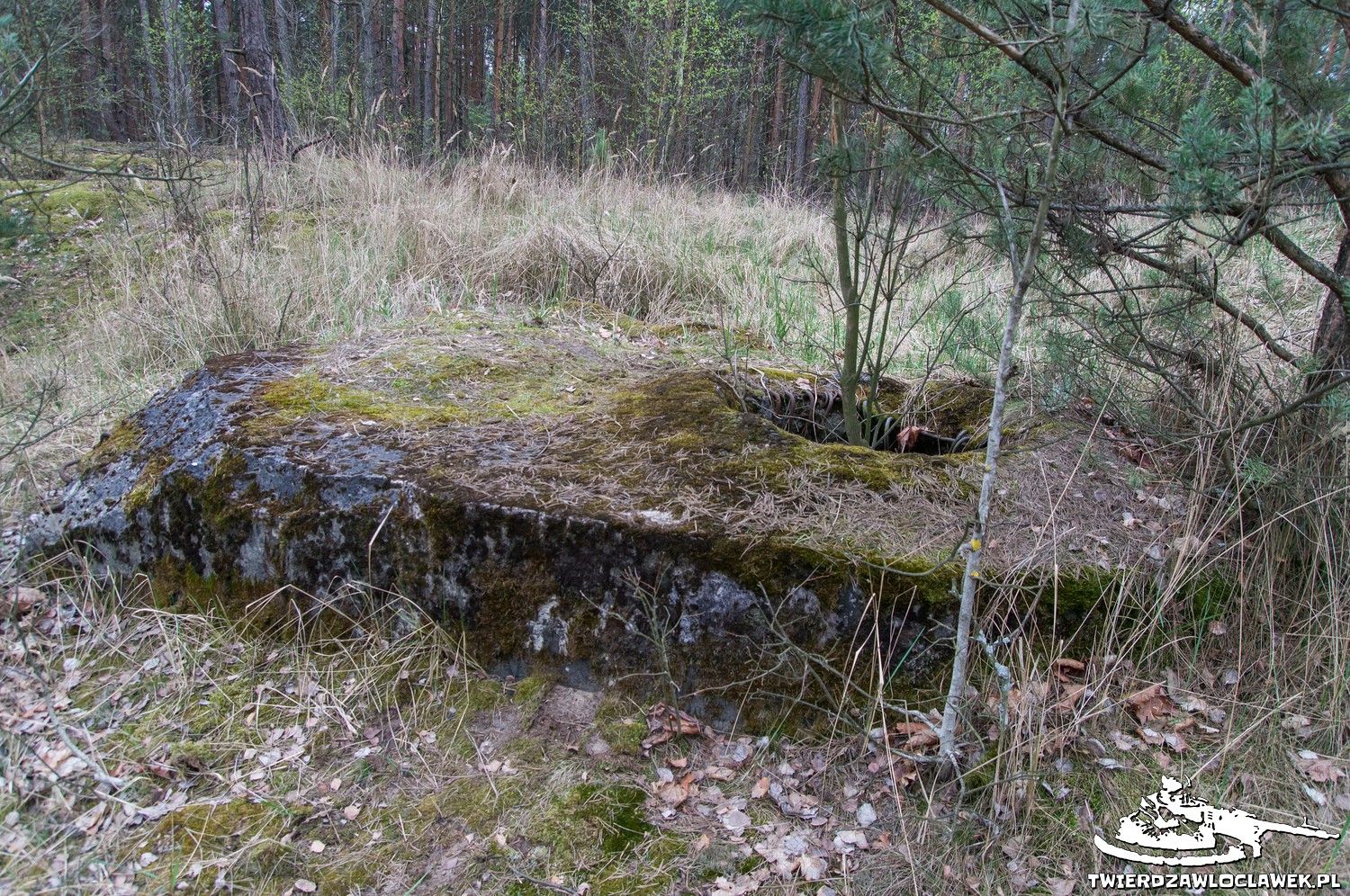 Schron Ringstand 58c – C 02