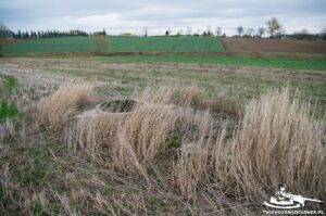 Read more about the article Schron Ringstand 58c – LB 07