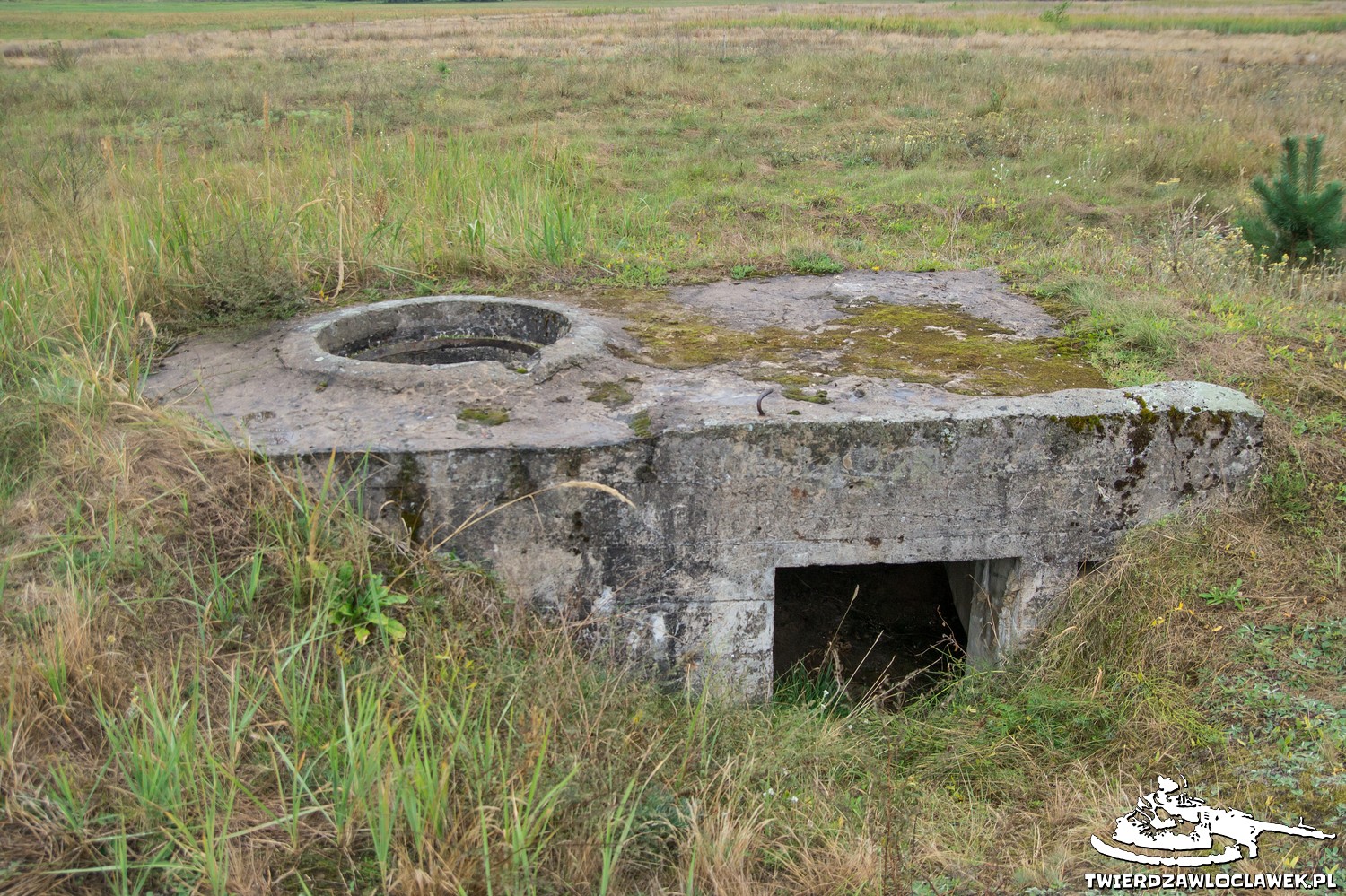 You are currently viewing Schron Ringstand 58c – M 06