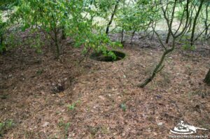 Read more about the article Schron Ringstand 58c – M 05