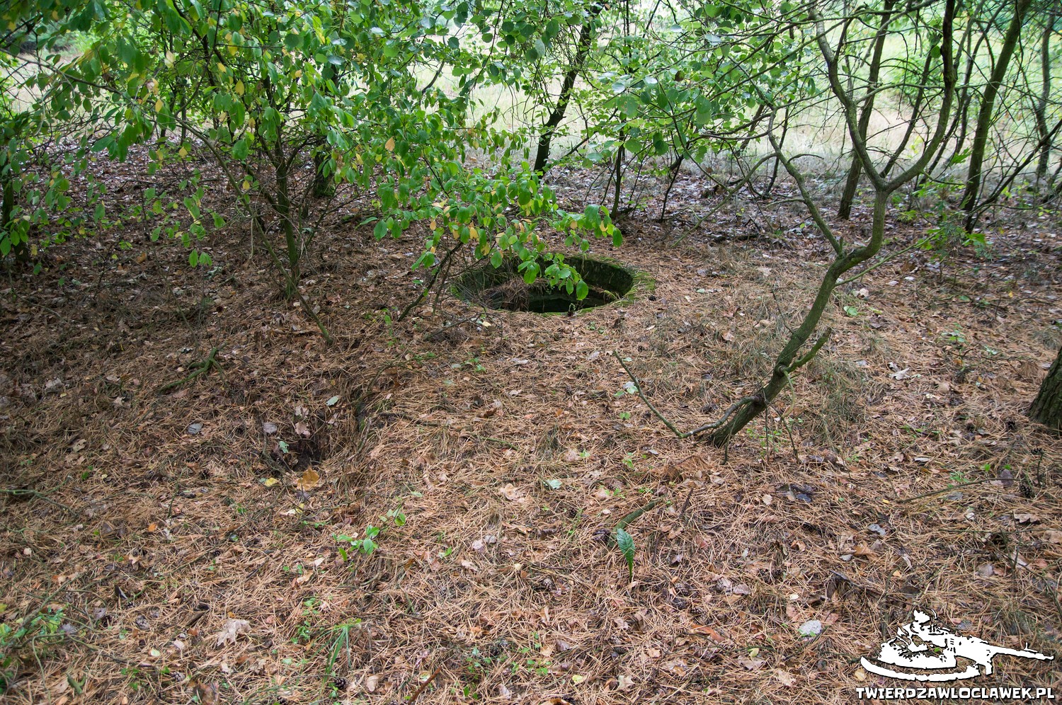 You are currently viewing Schron Ringstand 58c – M 05