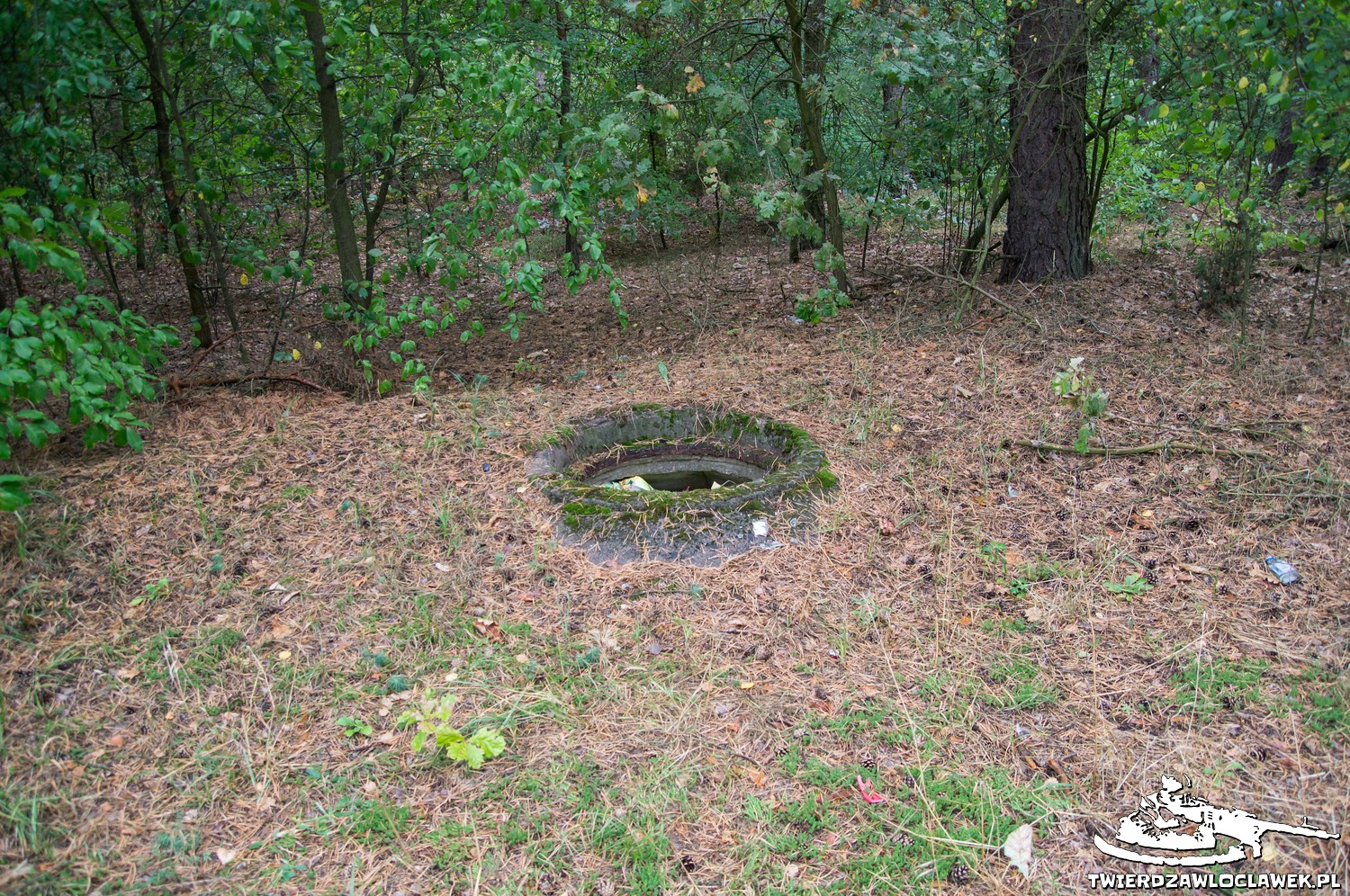 You are currently viewing Schron Ringstand 58c – M 07