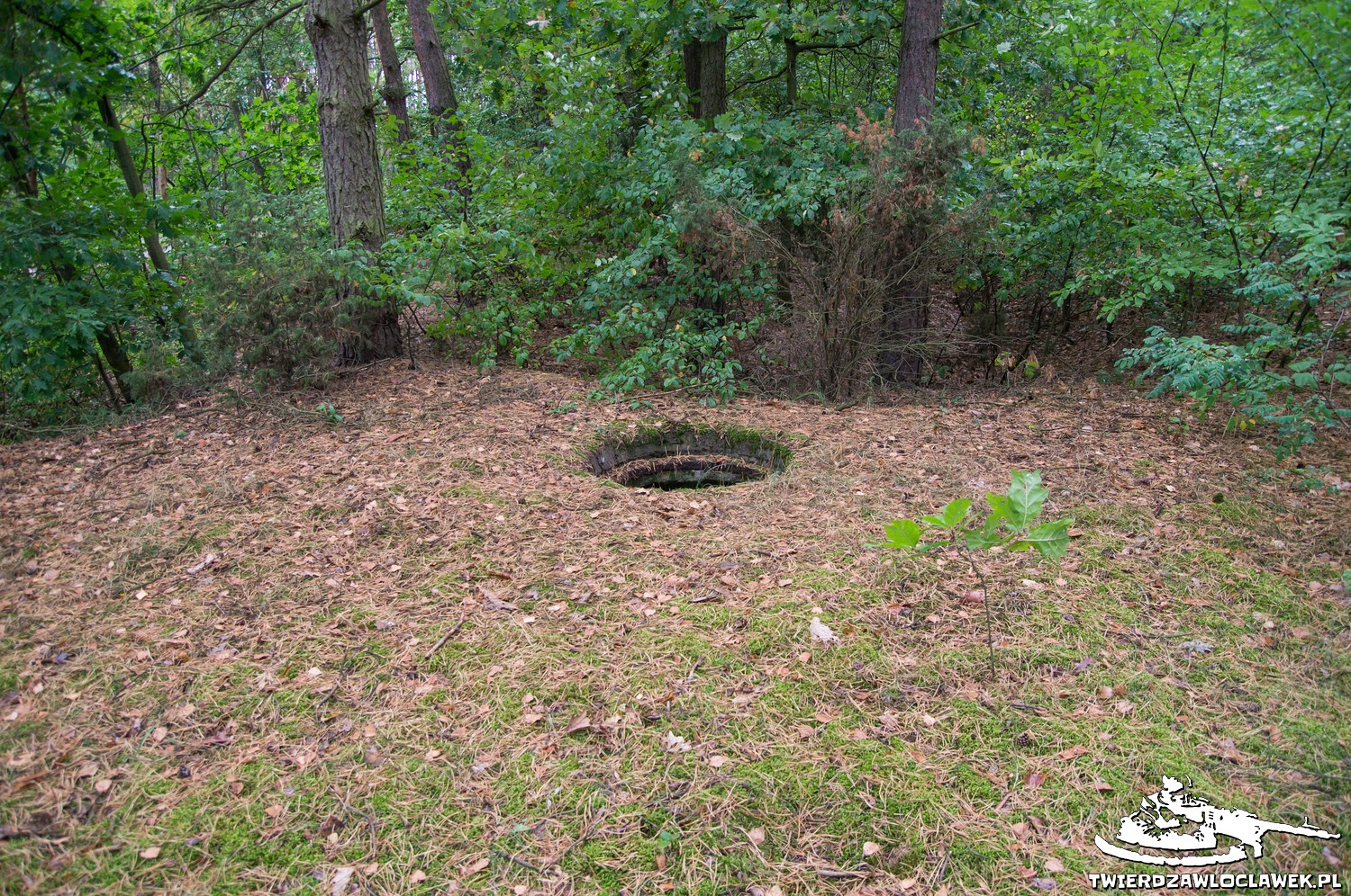 You are currently viewing Schron Ringstand 58c – M 08