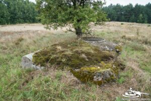 Read more about the article Schron Ringstand 58c – M 10