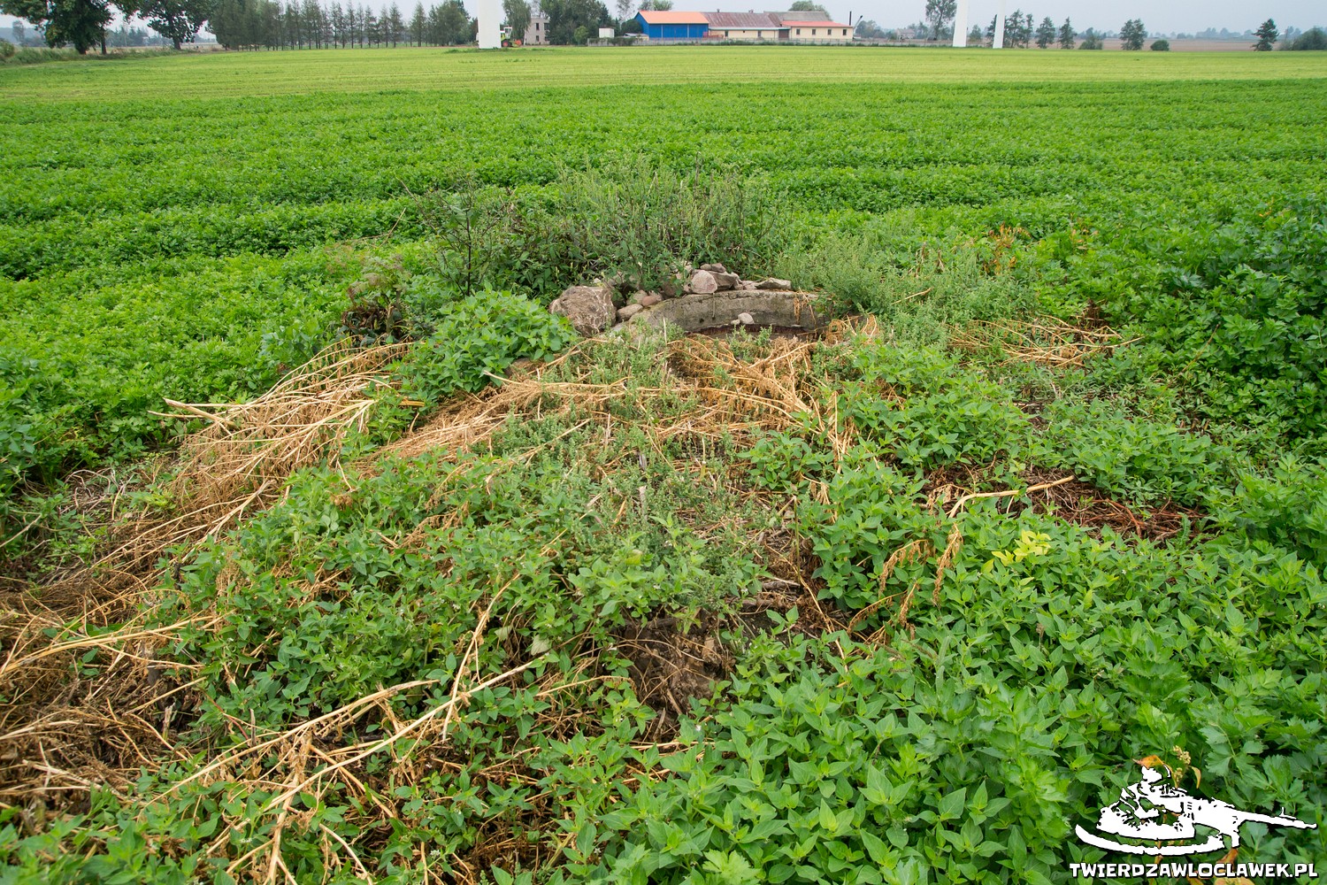 Read more about the article Schron Ringstand 58c – SO 08