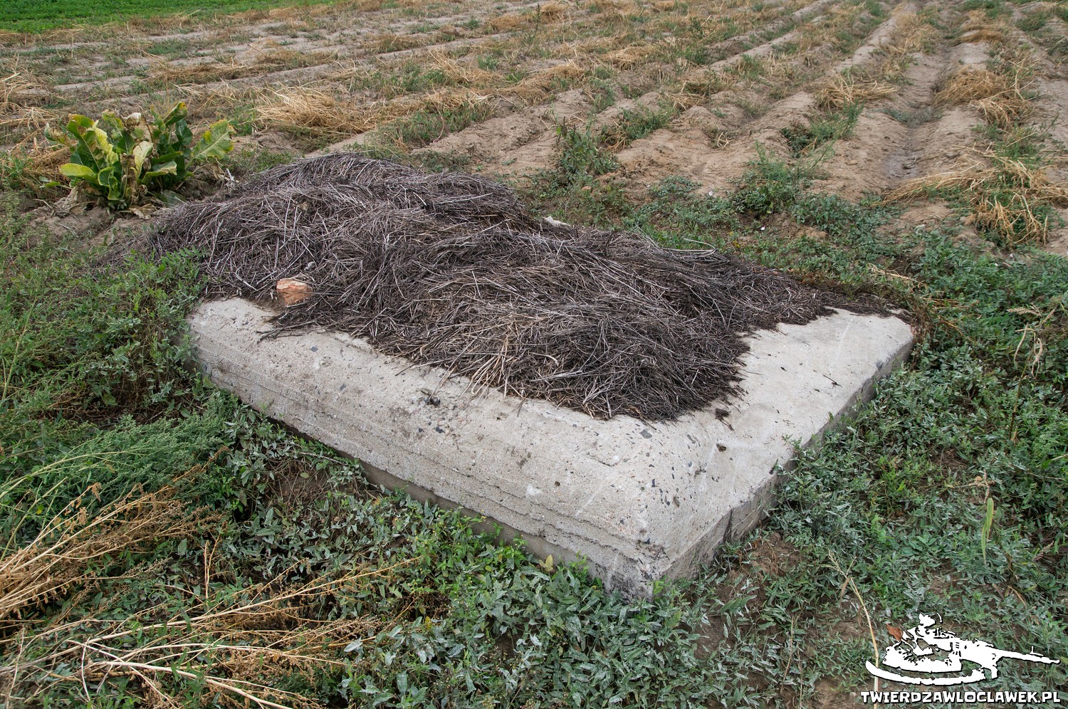 Read more about the article Schron Ringstand 58c – SO 07