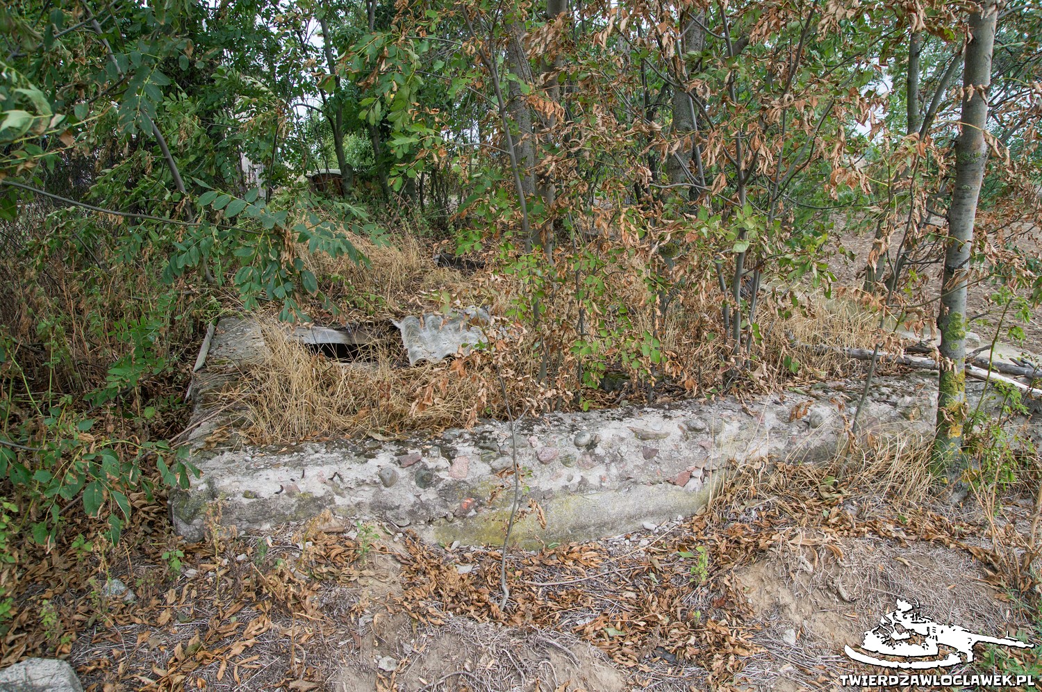 Read more about the article Schron Ringstand 58c – SO 02