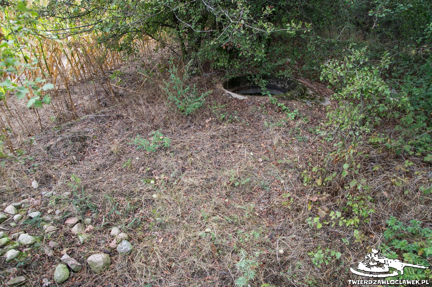 Read more about the article Schron Ringstand 58c – KZ 09