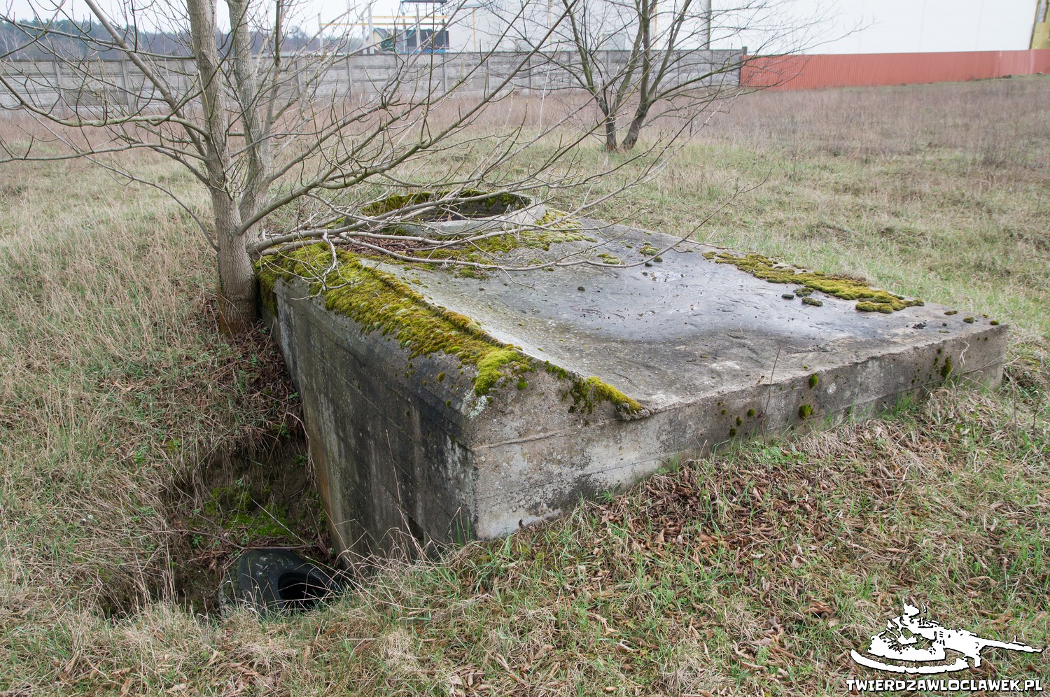 Read more about the article Schron Ringstand 58c – NO 03