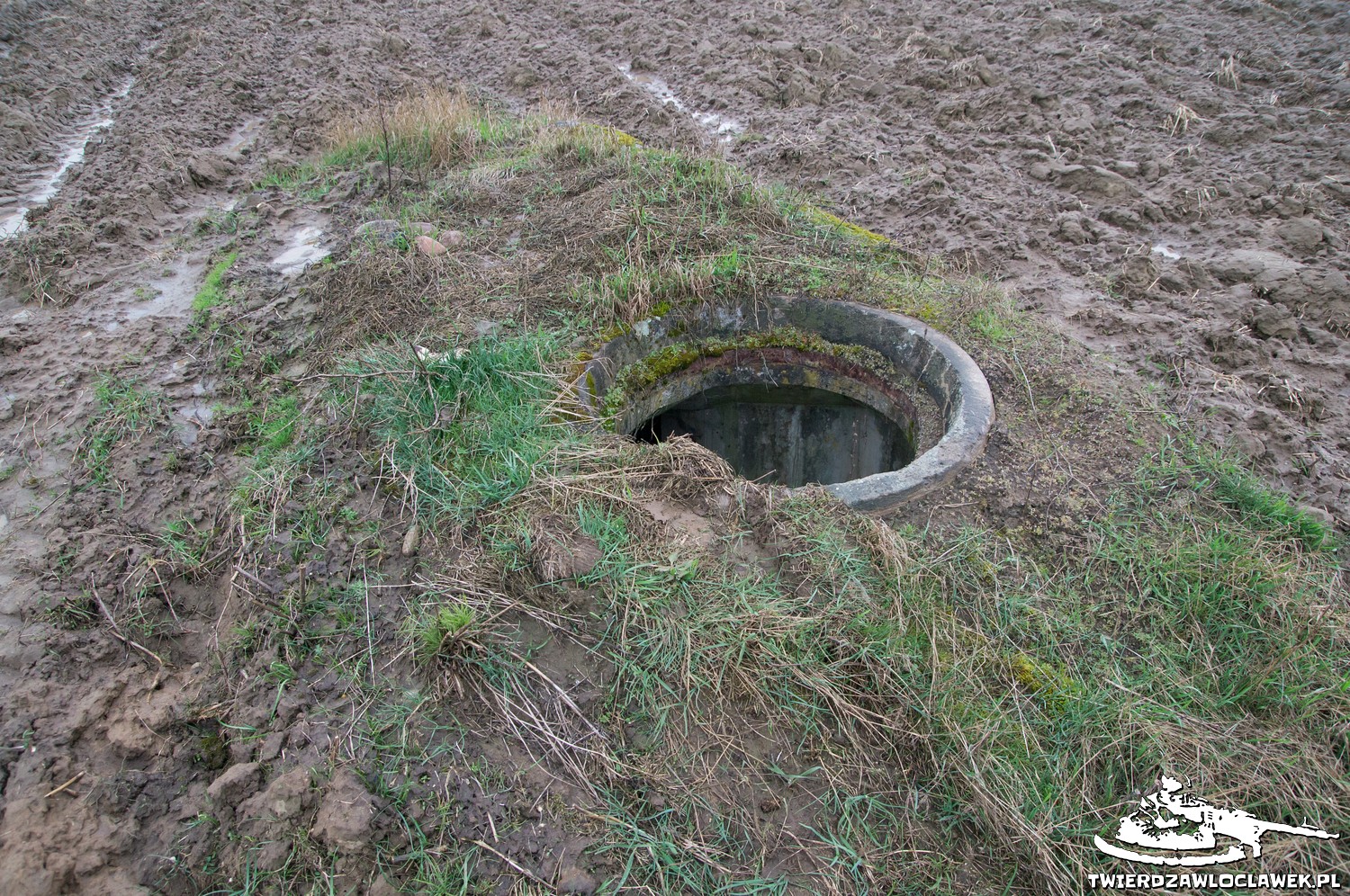 Read more about the article Schron Ringstand 58c – NO 05