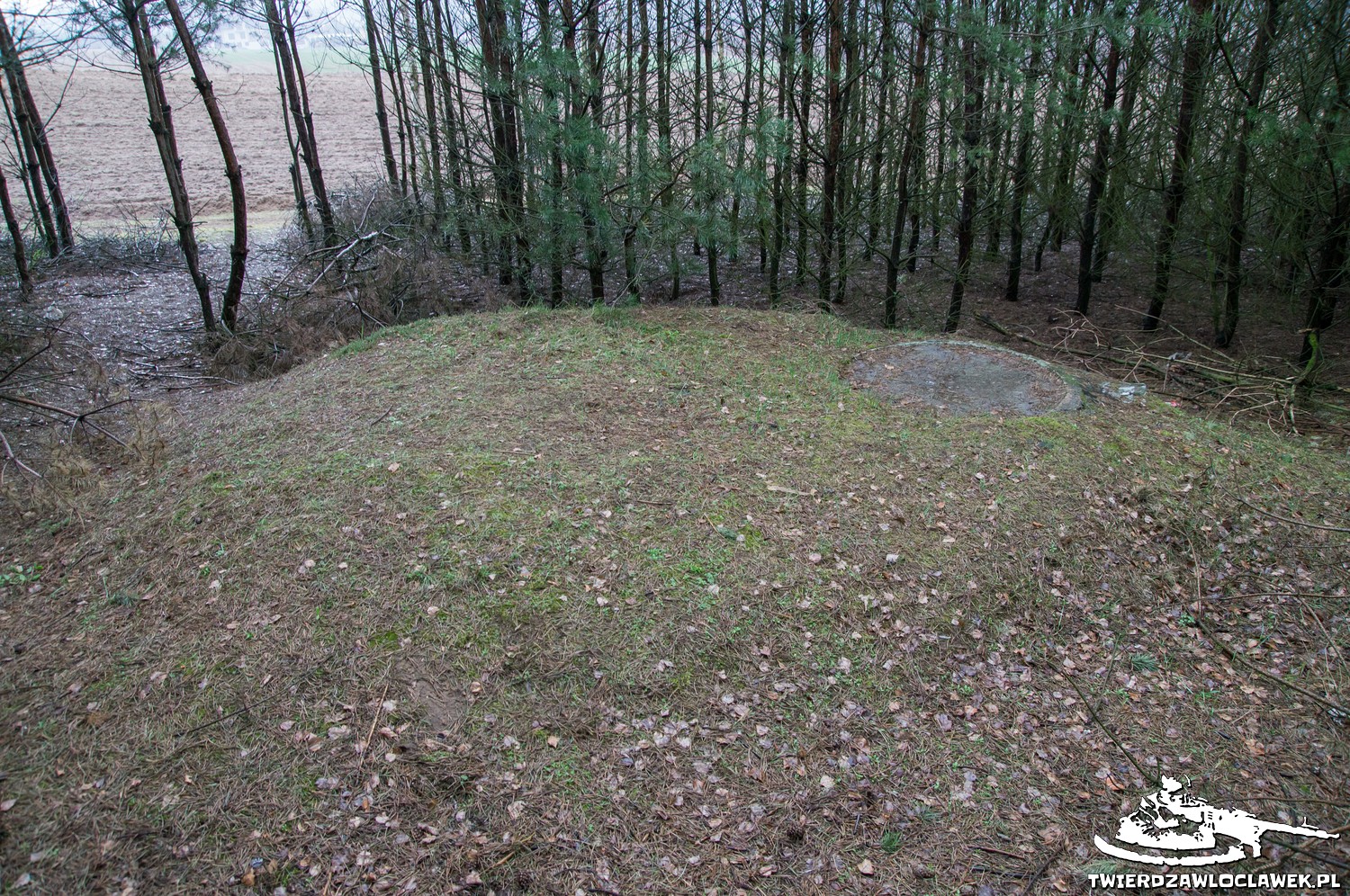 Read more about the article Schron Ringstand 58c – NO 06