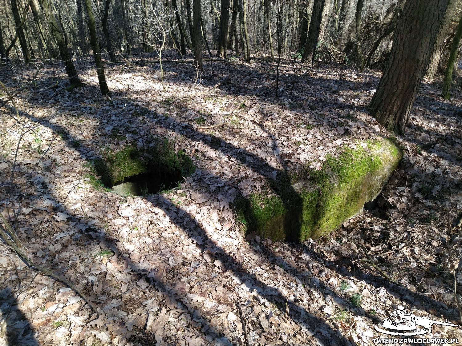 Read more about the article Schron Ringstand 58c – C 03