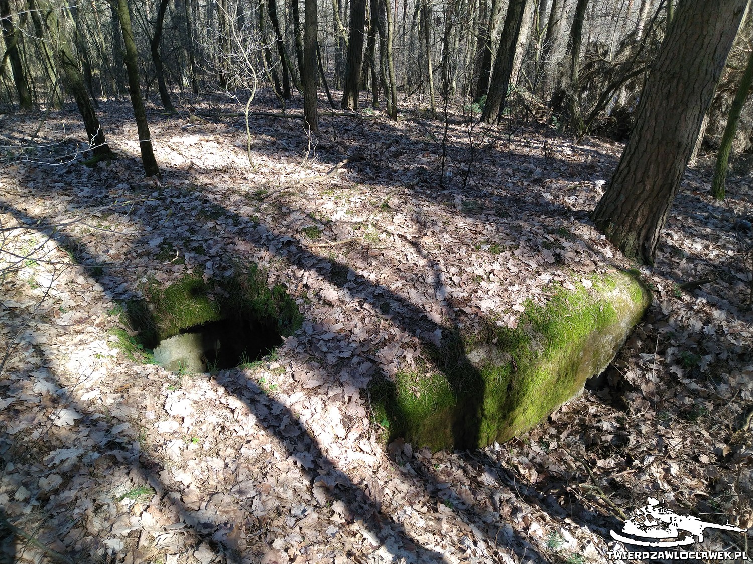 Schron Ringstand 58c – C 03