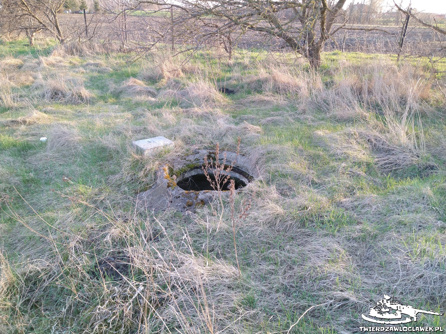 Read more about the article Schron Ringstand 58c – LB 10