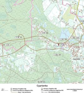 Read more about the article Cyprianka – Zippen