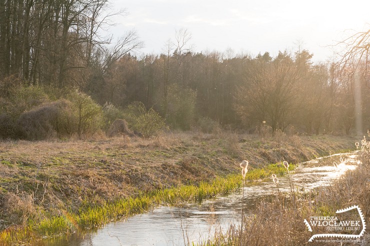 Read more about the article Tajemniczy grób nad Zgłowiączką