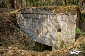 Read more about the article Schron Ringstand 58c – OB 01