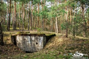 Read more about the article Schron Ringstand 58c – OB 02