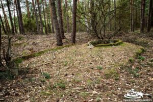 Read more about the article Schron Ringstand 58c – OB 03