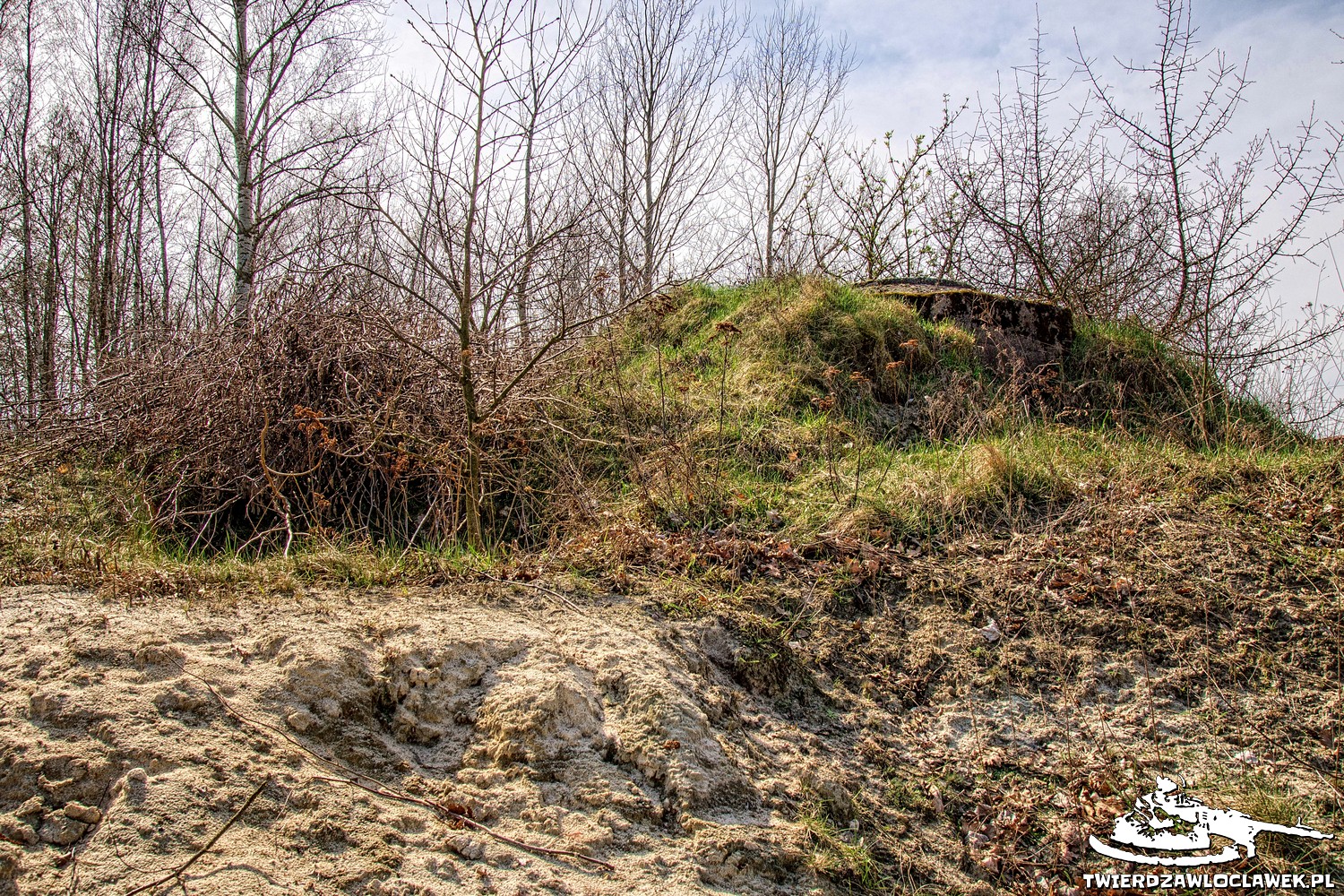 Read more about the article Schron Ringstand 58c – Z 08