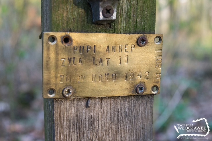 Tajemniczy grób nad Zgłowiączką