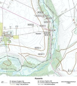 Read more about the article Kazanie – Wildheim