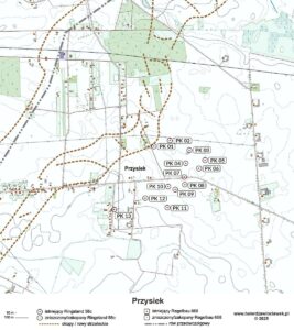 Read more about the article Przysiek