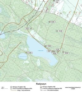 Read more about the article Radyszyn – Radwalde