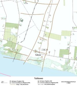 Read more about the article Tulibowo – Tulpenteld